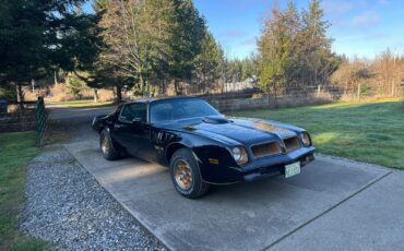 Pontiac-Trans-Am-1976-Coupe