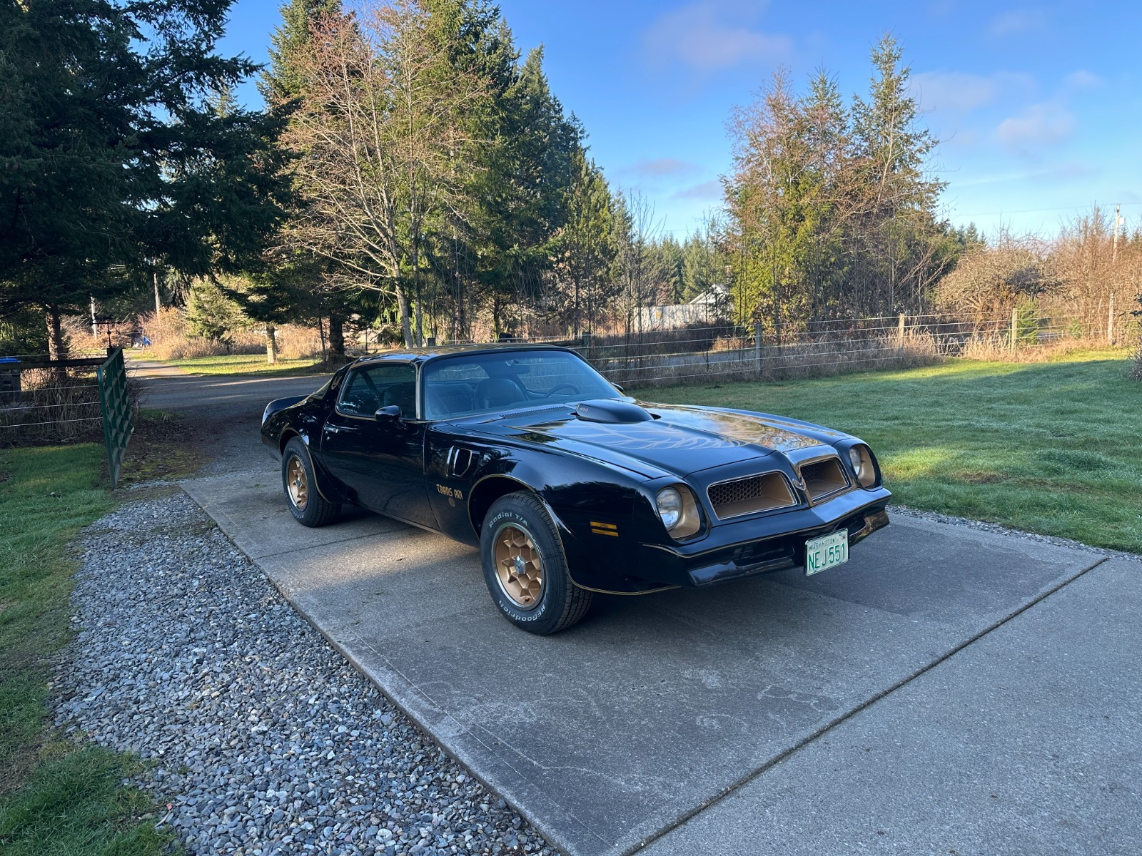 Pontiac Trans Am 1976 Coupe