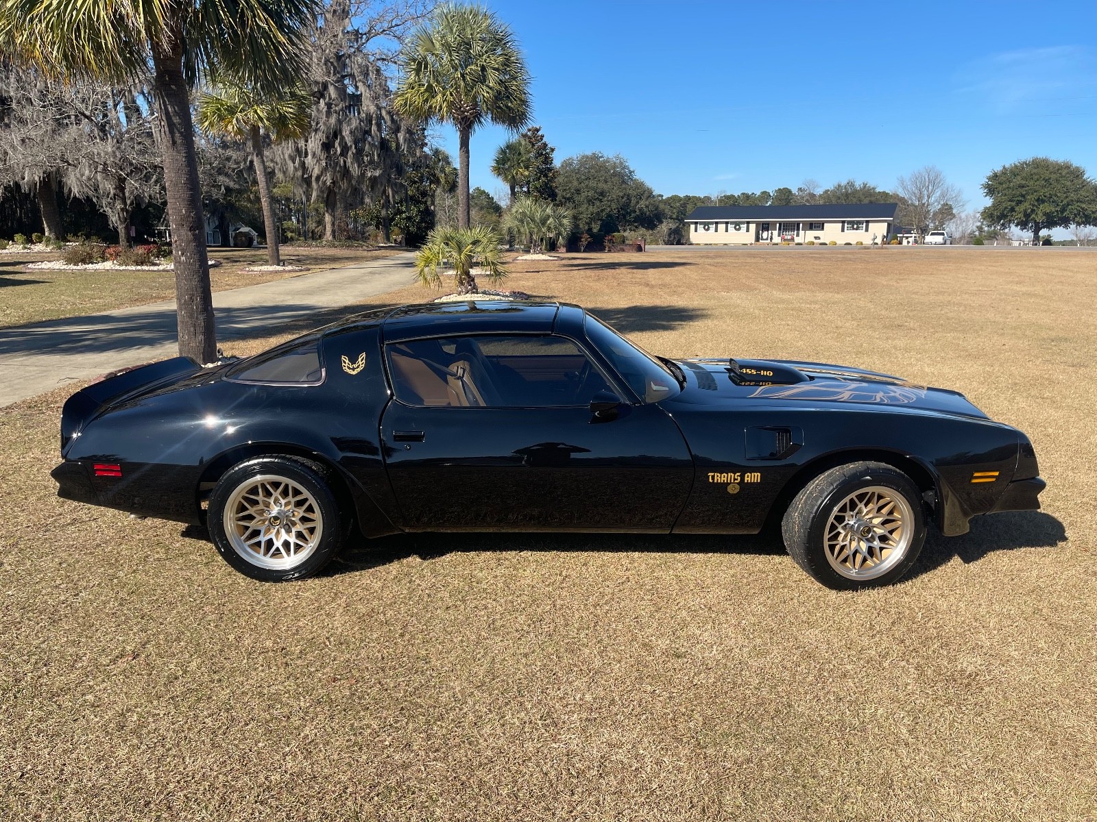 Pontiac Trans Am 1976