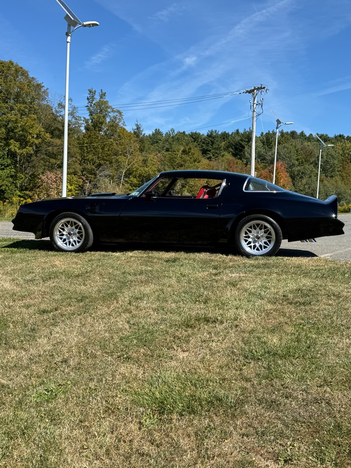 Pontiac-Trans-Am-1977-12