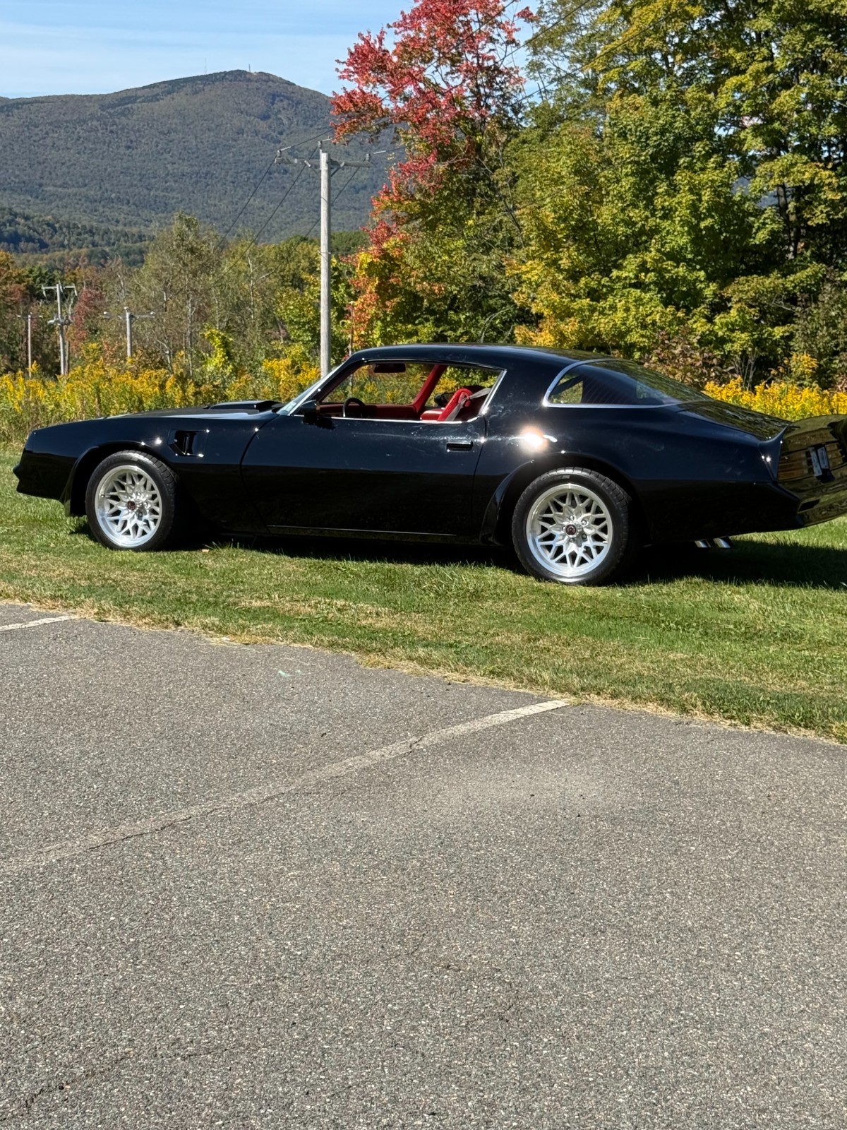 Pontiac-Trans-Am-1977-13