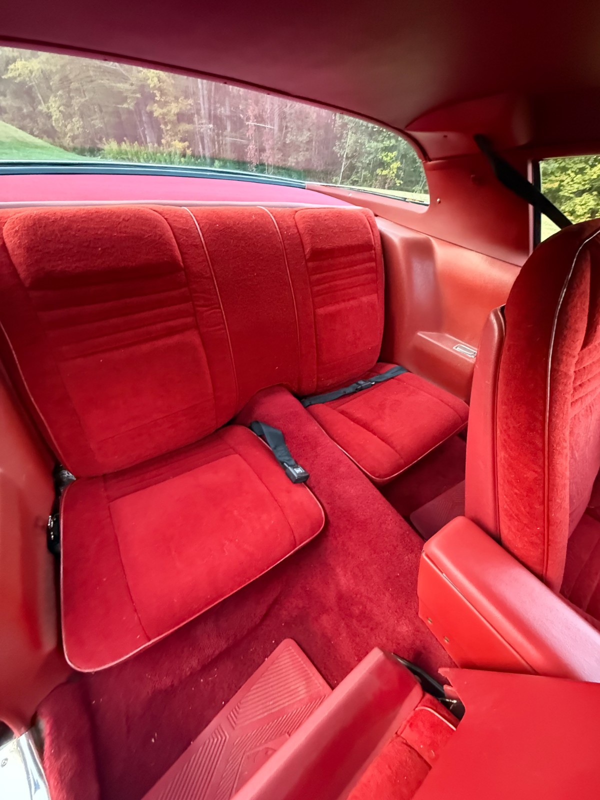 Pontiac-Trans-Am-1977-18