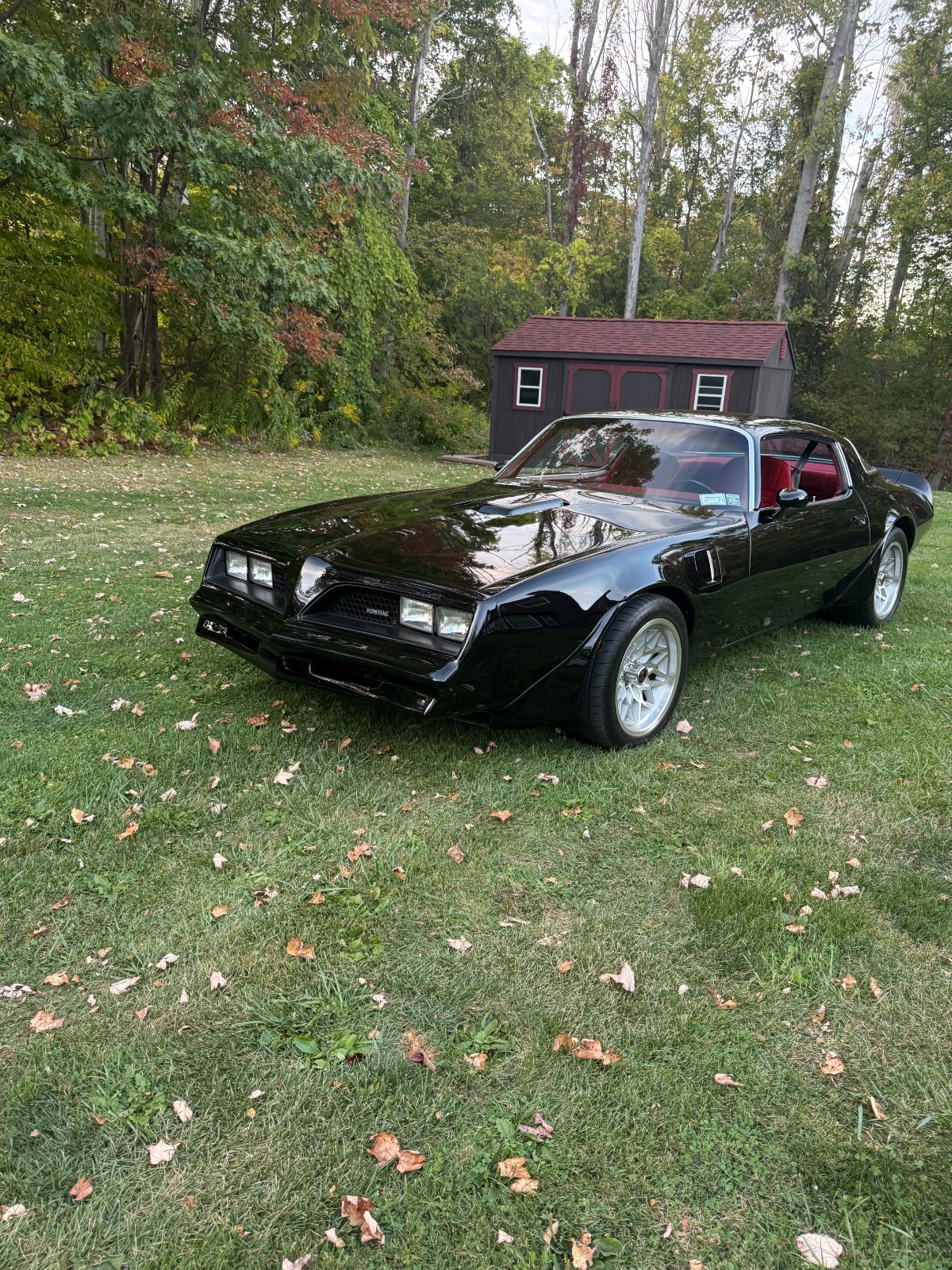 Pontiac-Trans-Am-1977-25
