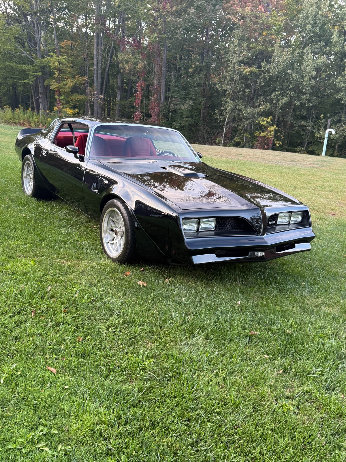 Pontiac-Trans-Am-1977-25