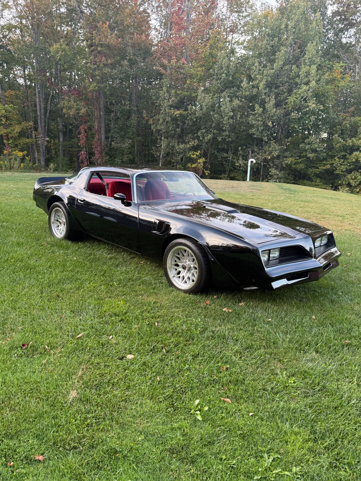 Pontiac-Trans-Am-1977-26