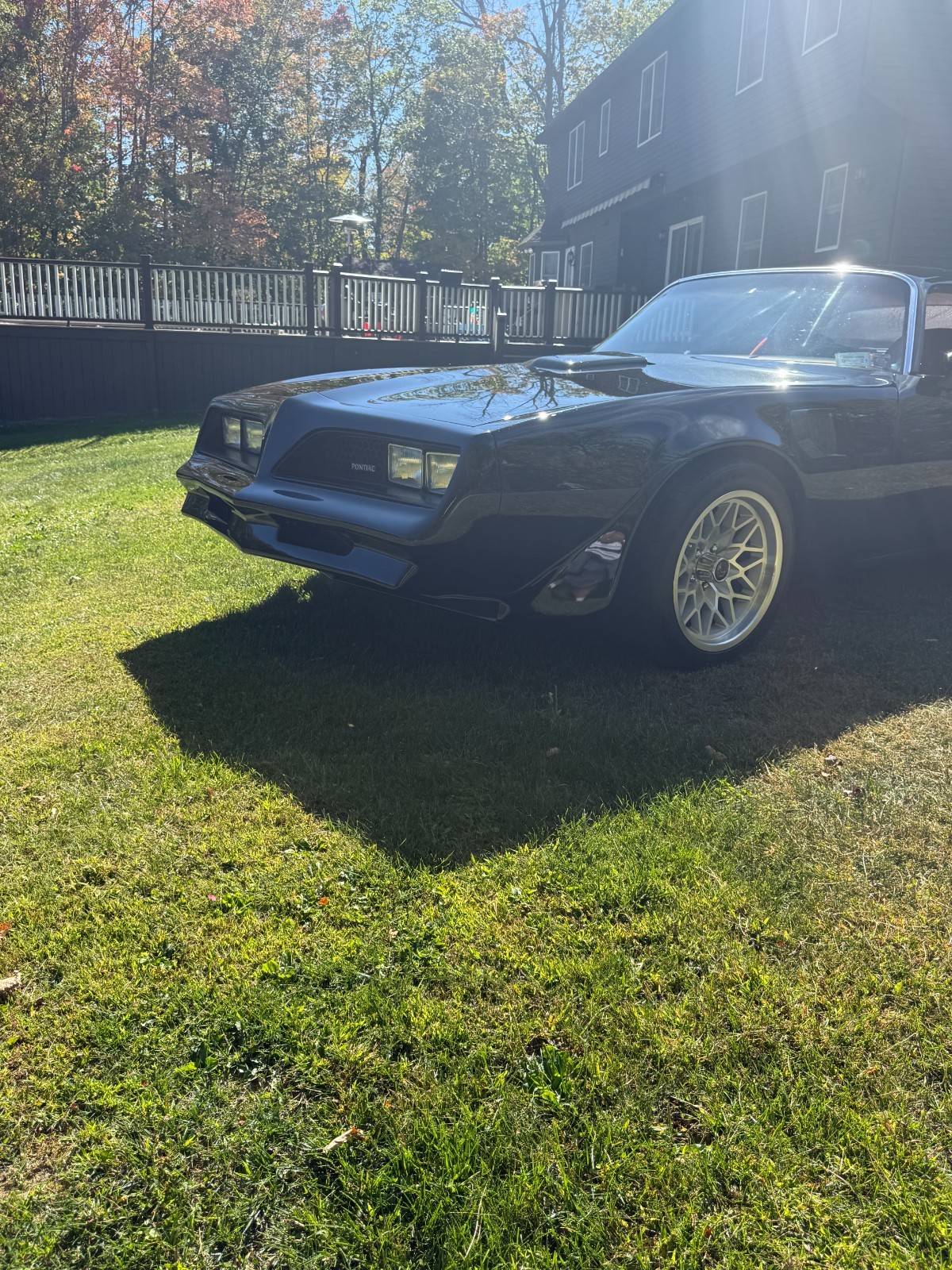 Pontiac-Trans-Am-1977-26