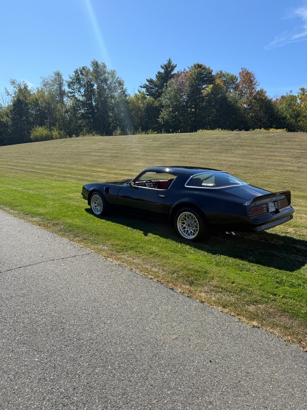 Pontiac-Trans-Am-1977-30