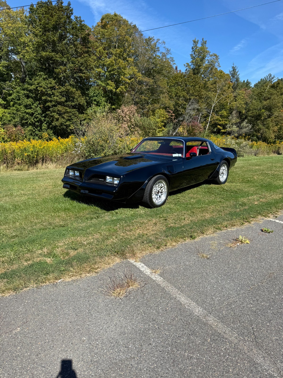 Pontiac-Trans-Am-1977-31