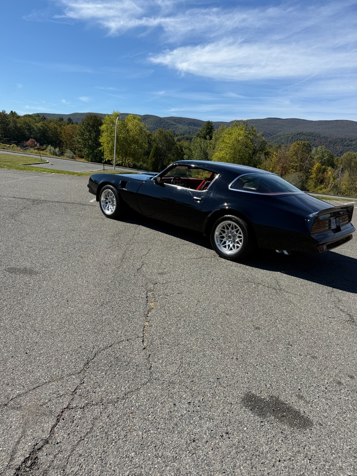 Pontiac-Trans-Am-1977-34