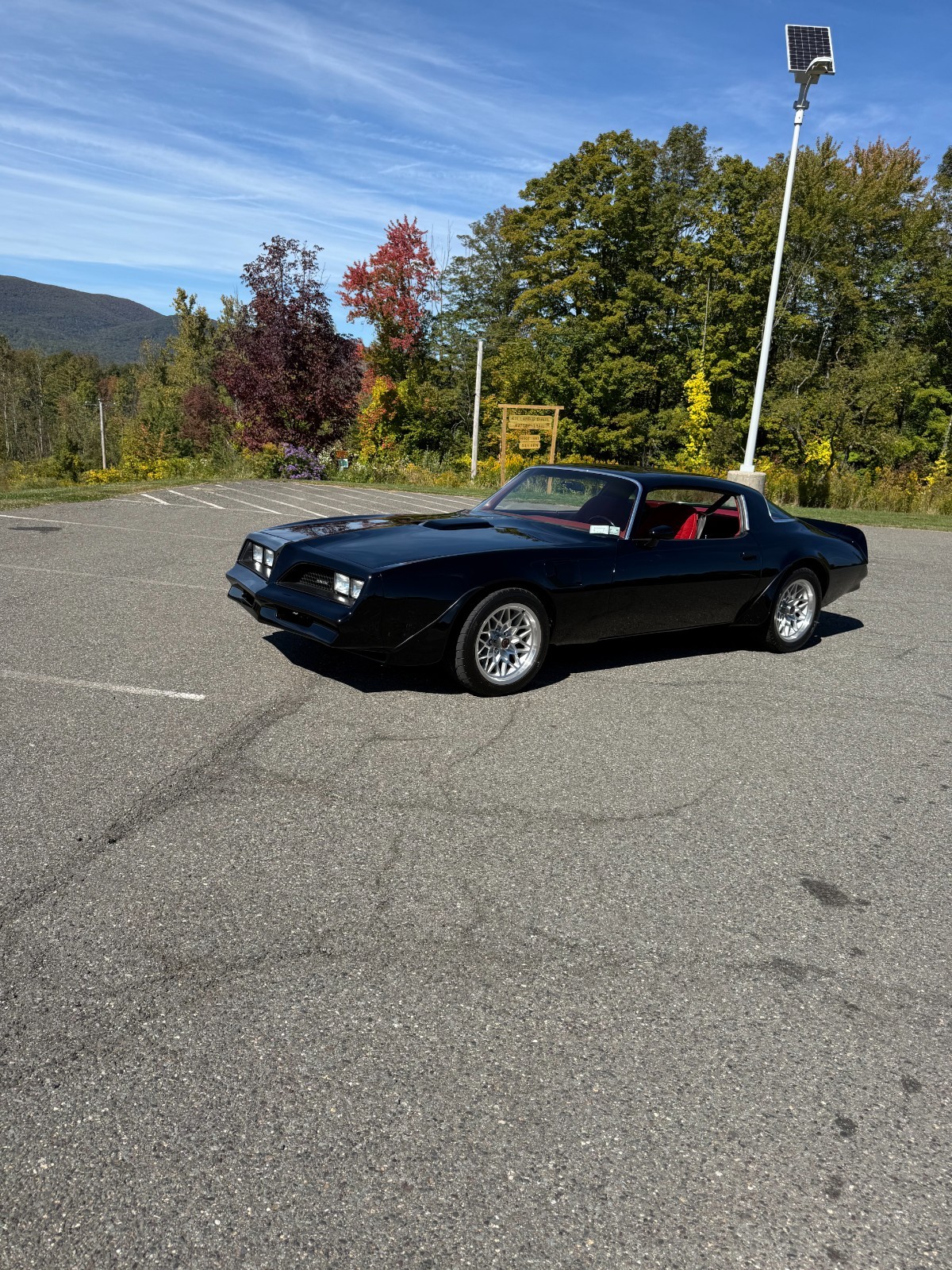 Pontiac-Trans-Am-1977-36