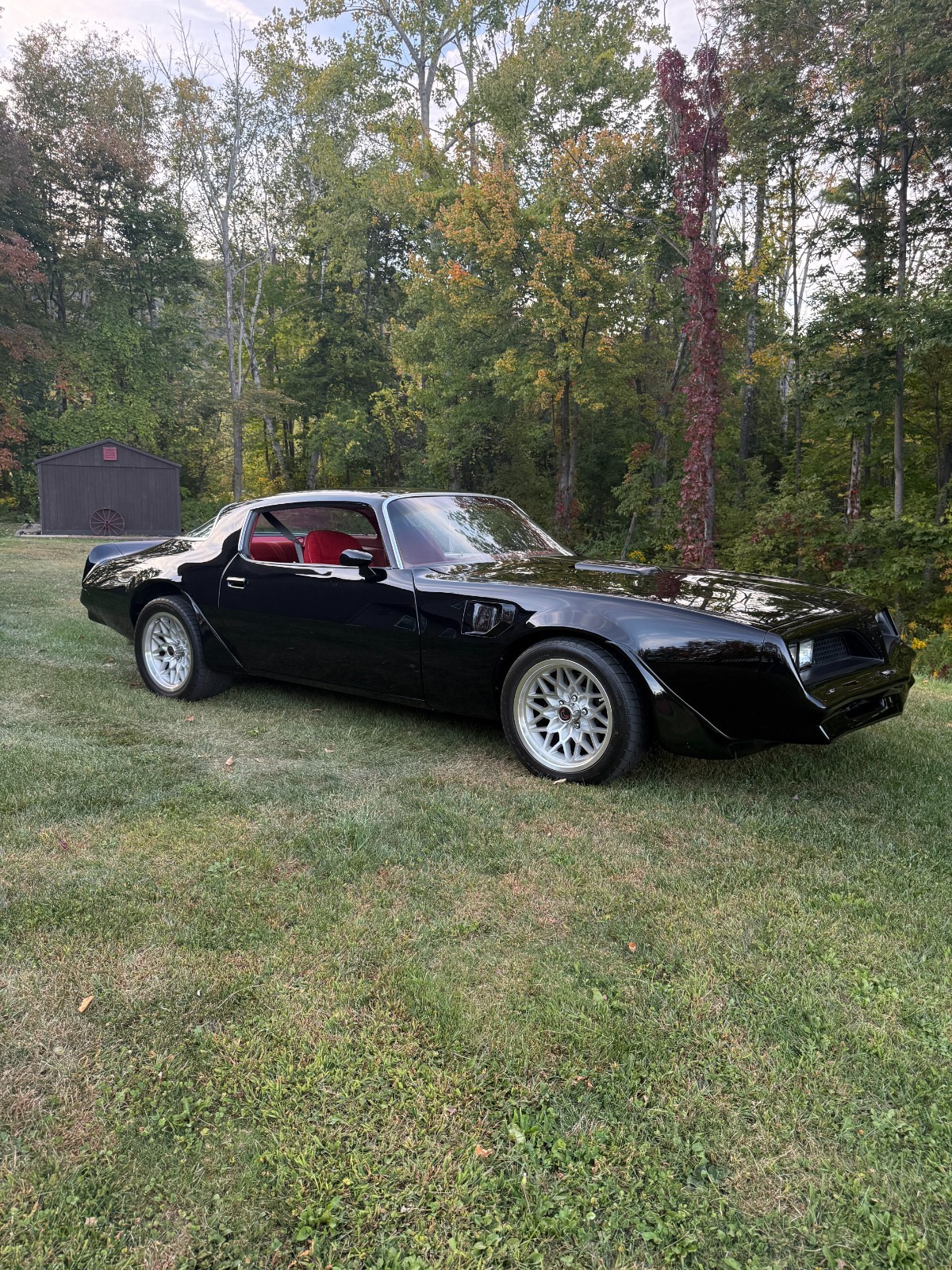 Pontiac-Trans-Am-1977-39