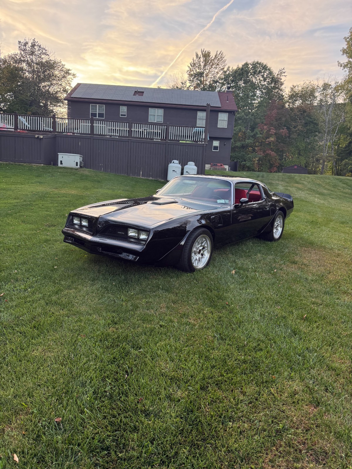Pontiac-Trans-Am-1977-4