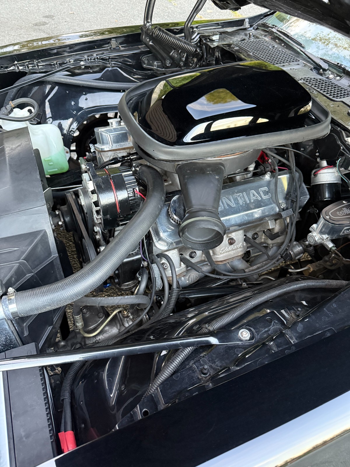 Pontiac-Trans-Am-1977-7