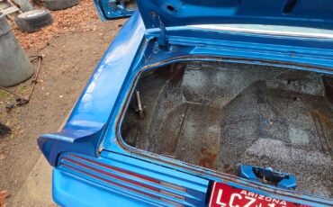 Pontiac-Trans-Am-1978-Coupe-16