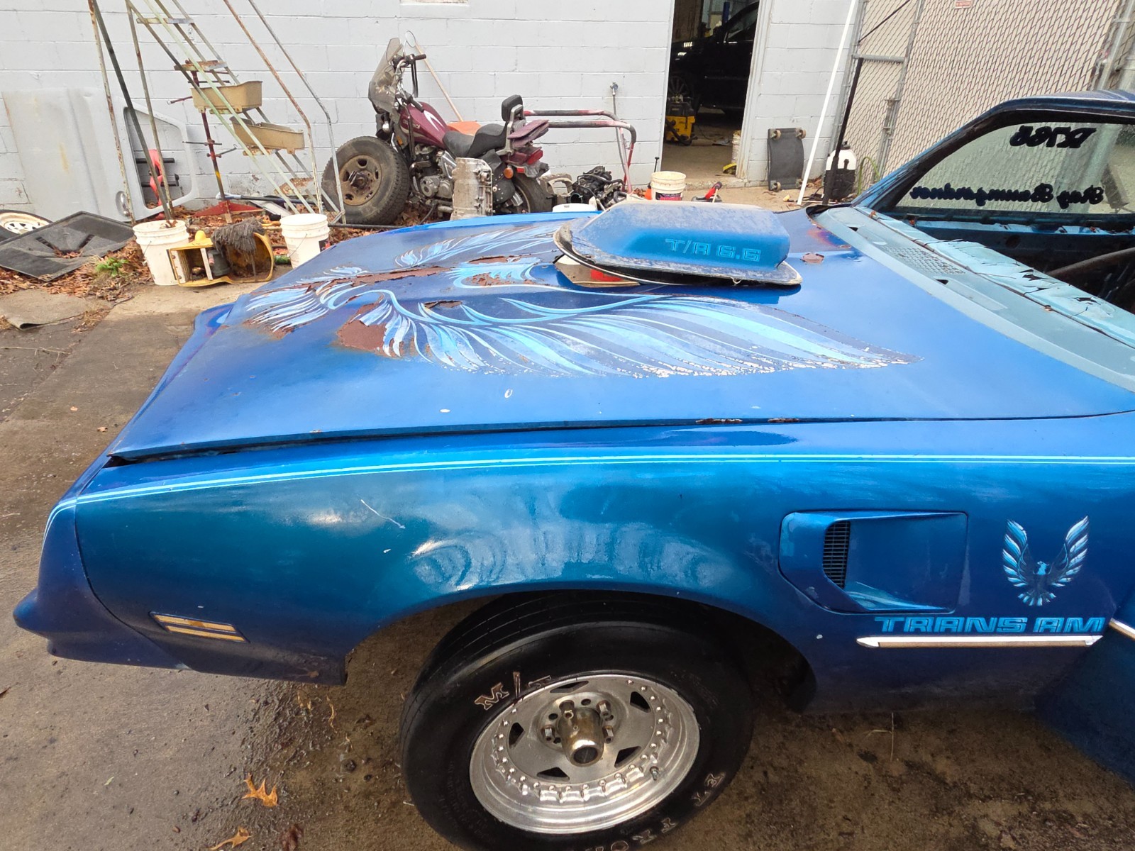 Pontiac-Trans-Am-1978-Coupe-4