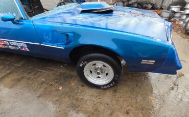 Pontiac-Trans-Am-1978-Coupe-6