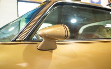 Pontiac-Trans-Am-1979-10