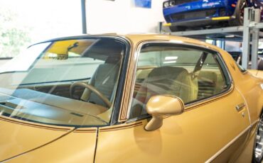 Pontiac-Trans-Am-1979-11