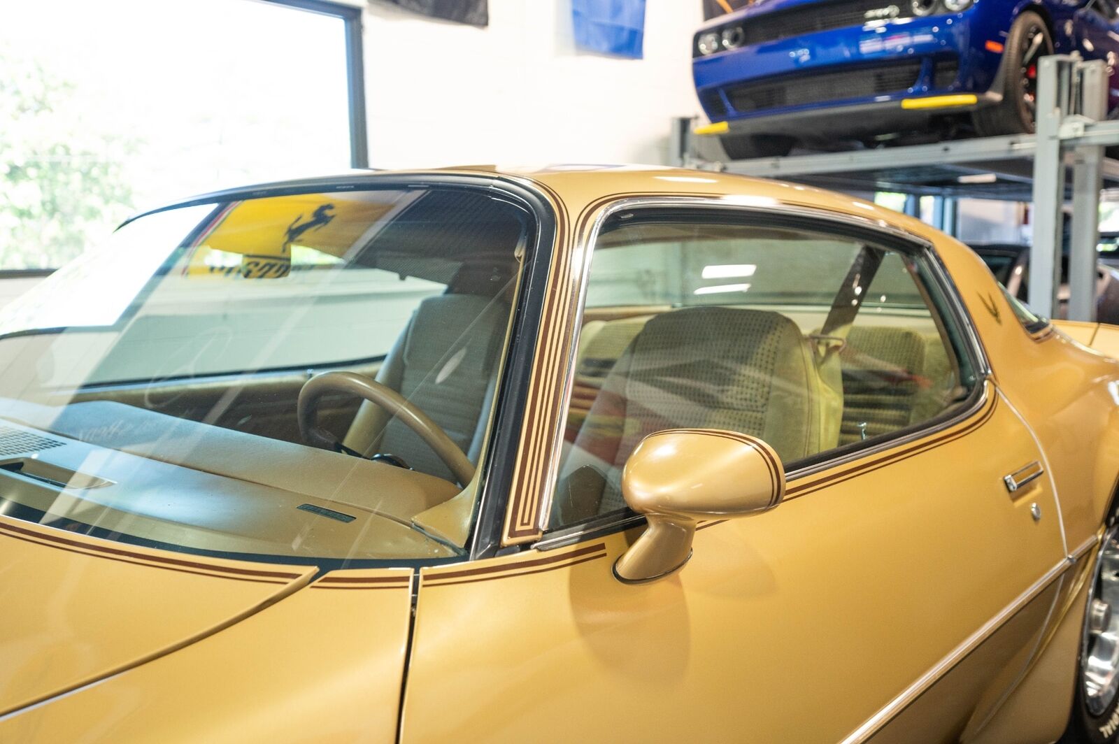 Pontiac-Trans-Am-1979-11