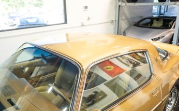 Pontiac-Trans-Am-1979-12