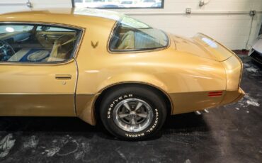 Pontiac-Trans-Am-1979-16