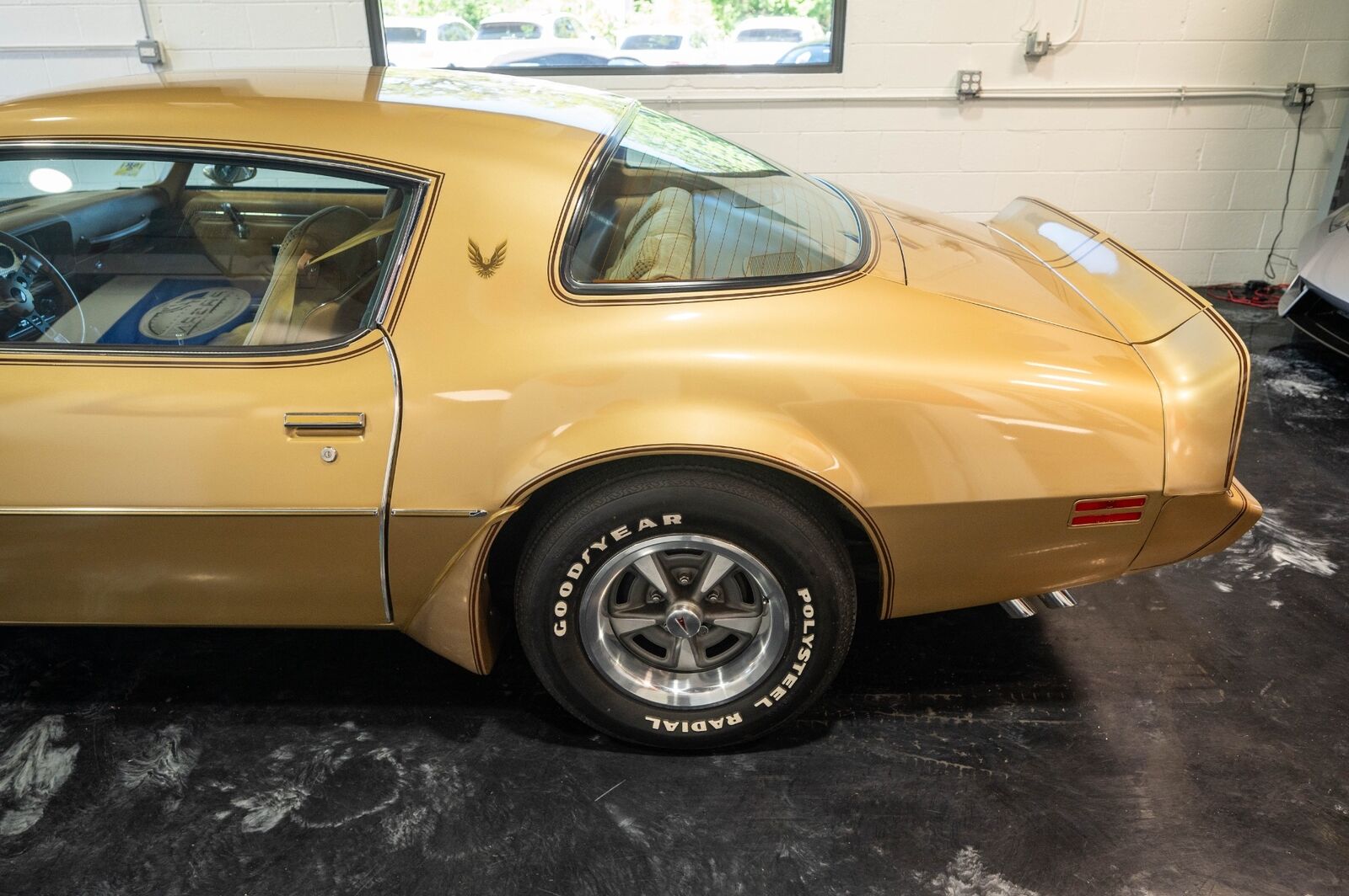 Pontiac-Trans-Am-1979-16