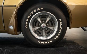 Pontiac-Trans-Am-1979-18