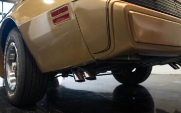 Pontiac-Trans-Am-1979-22