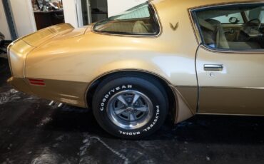 Pontiac-Trans-Am-1979-34