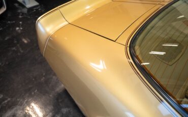 Pontiac-Trans-Am-1979-36