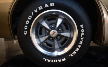 Pontiac-Trans-Am-1979-38