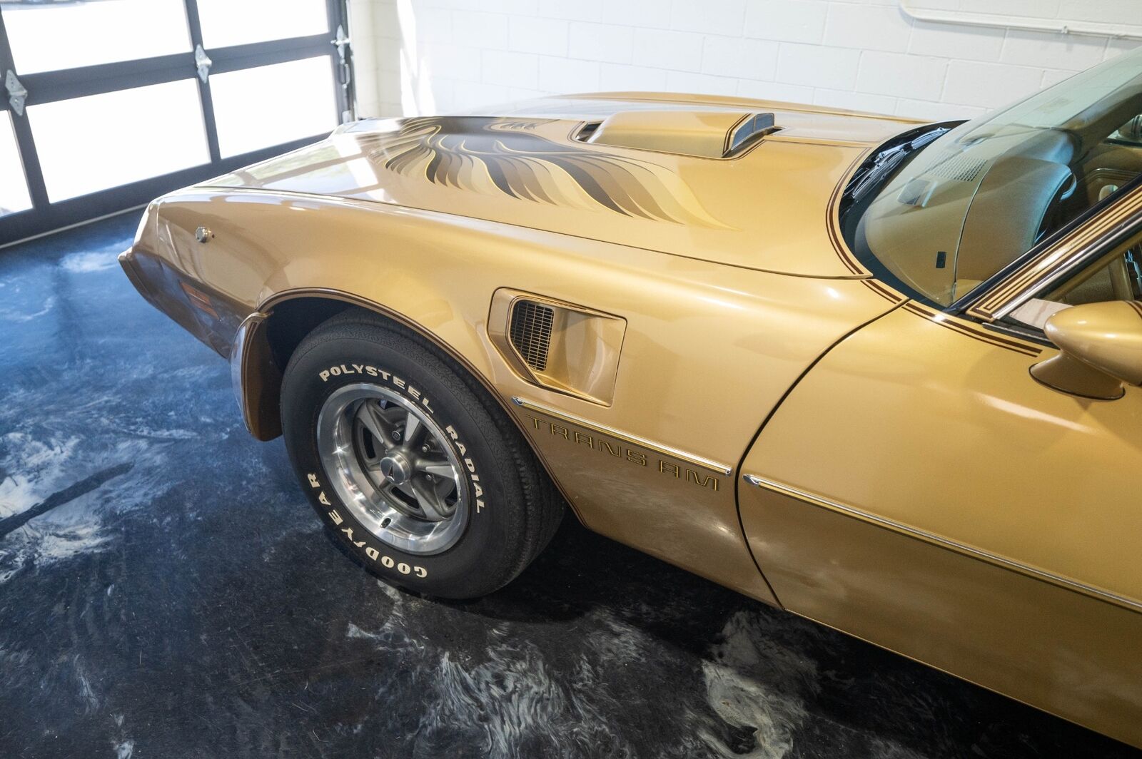 Pontiac-Trans-Am-1979-4