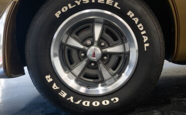 Pontiac-Trans-Am-1979-7