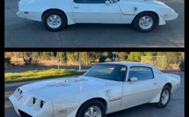 Pontiac-Trans-Am-1979-Coupe-12