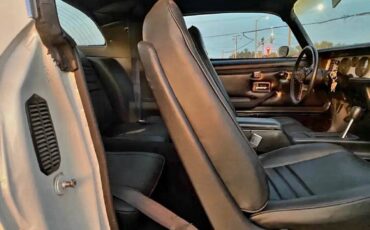 Pontiac-Trans-Am-1979-Coupe-14