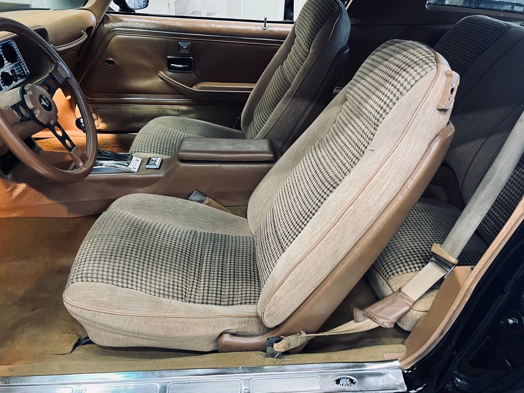 Pontiac-Trans-Am-1979-Coupe-14