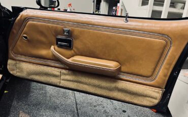 Pontiac-Trans-Am-1979-Coupe-17