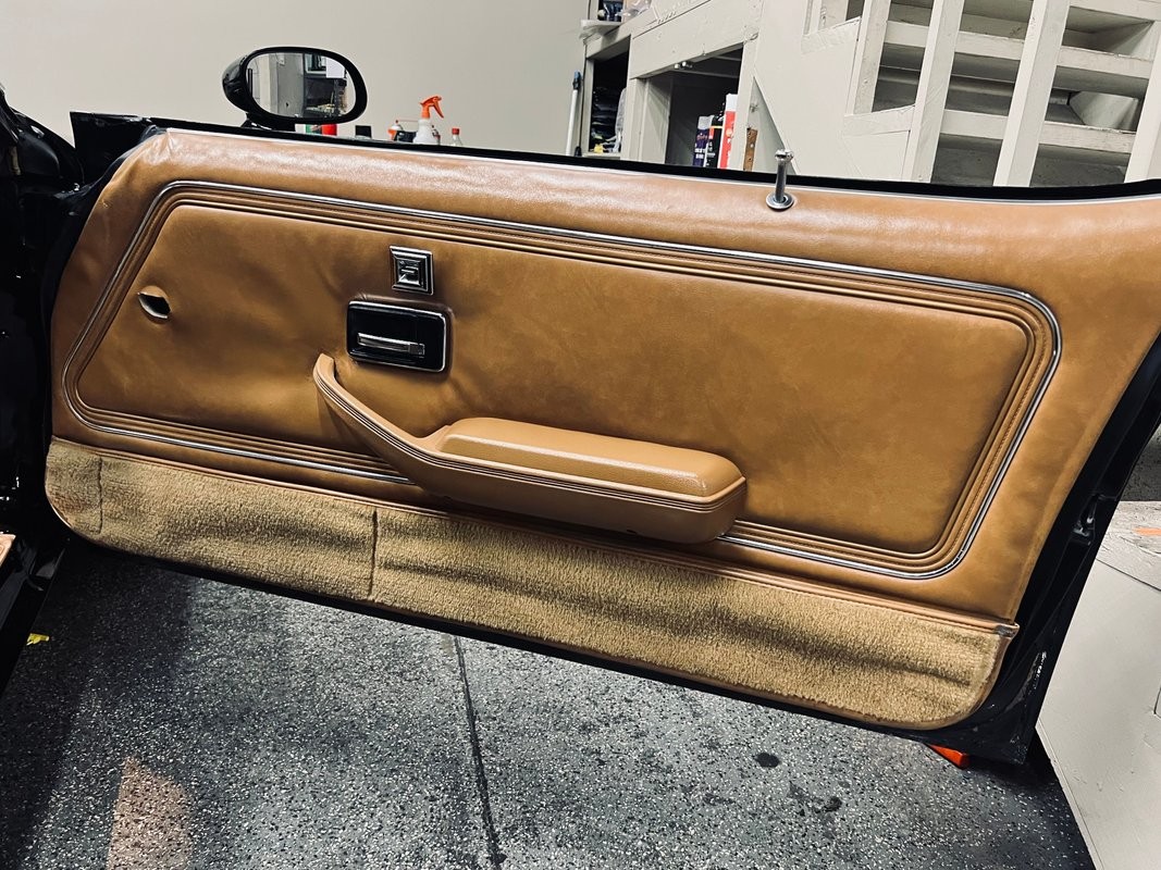 Pontiac-Trans-Am-1979-Coupe-17