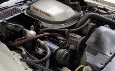 Pontiac-Trans-Am-1979-Coupe-19