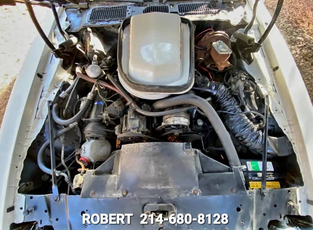 Pontiac-Trans-Am-1979-Coupe-21