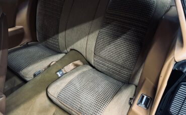 Pontiac-Trans-Am-1979-Coupe-21