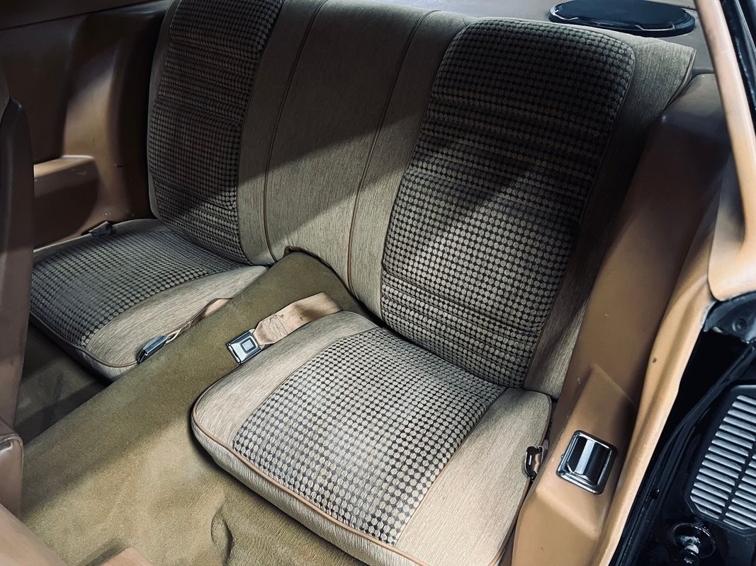 Pontiac-Trans-Am-1979-Coupe-21