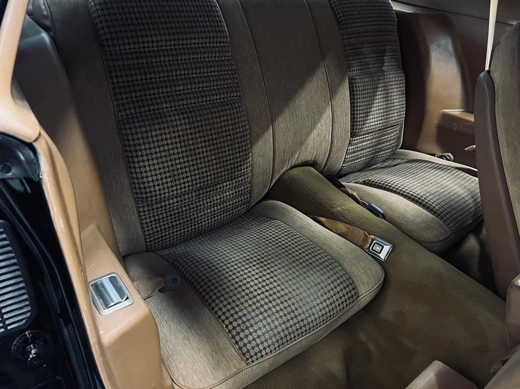 Pontiac-Trans-Am-1979-Coupe-22