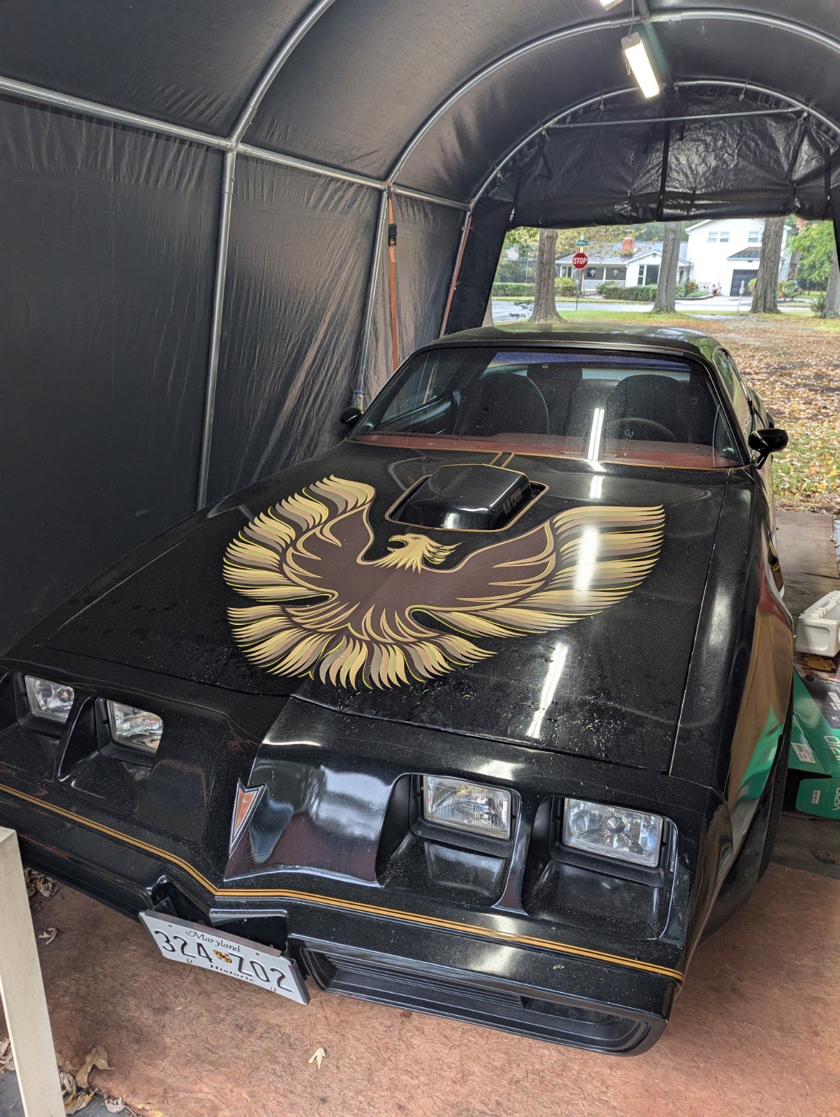 Pontiac Trans Am 1979 Coupe