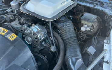 Pontiac-Trans-Am-1981-Coupe-12