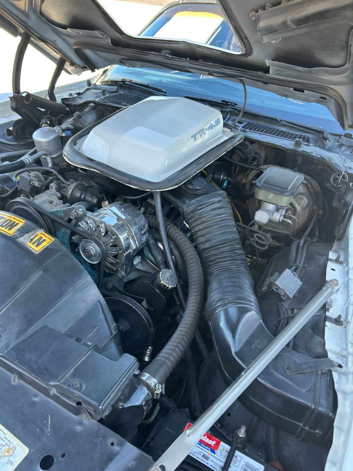 Pontiac-Trans-Am-1981-Coupe-12