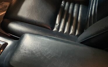 Pontiac-Trans-Am-1981-Coupe-15