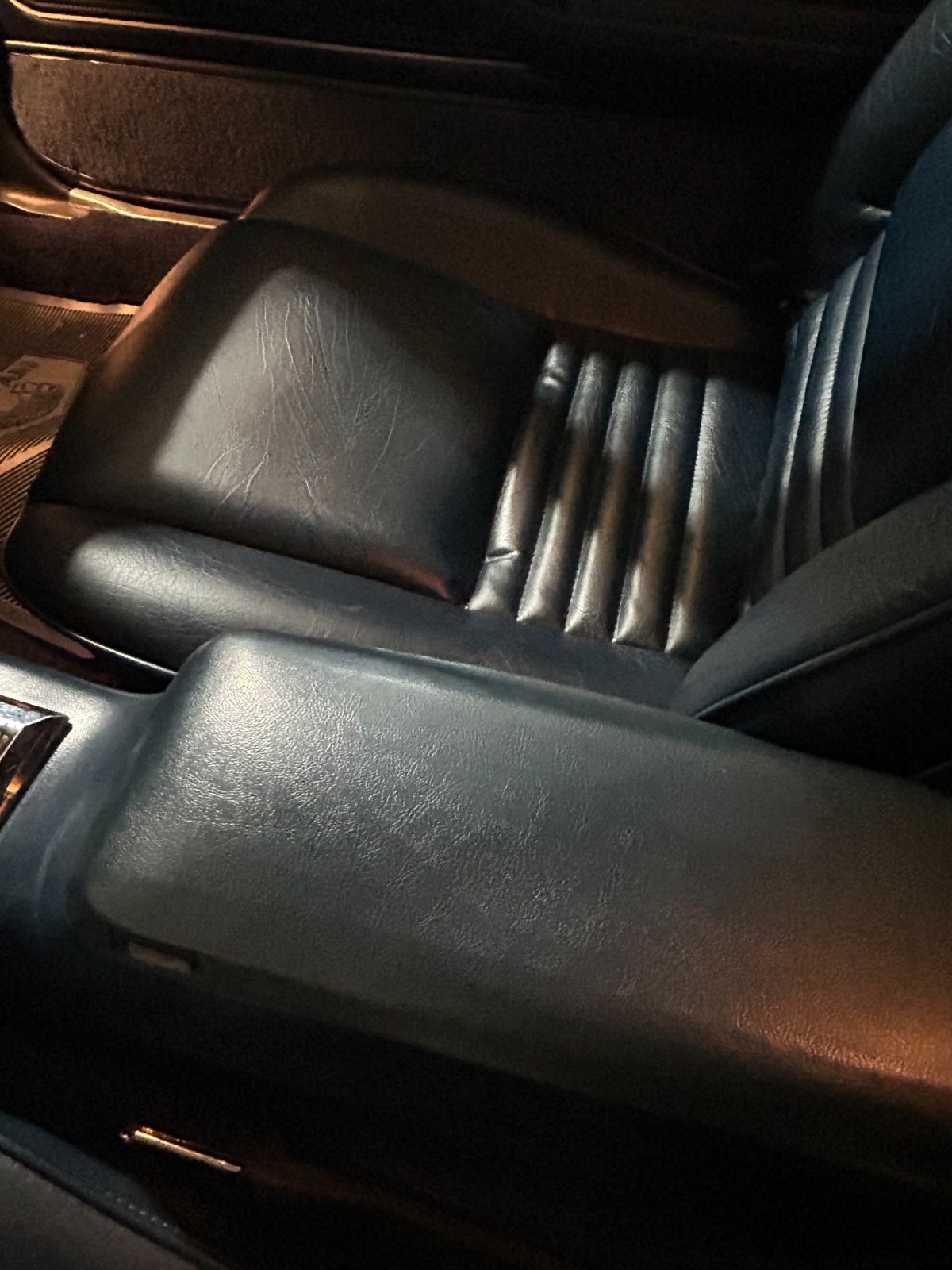 Pontiac-Trans-Am-1981-Coupe-15