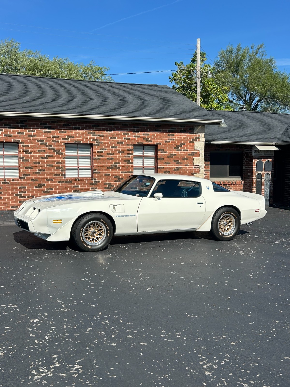 Pontiac-Trans-Am-1981-Coupe-2