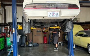 Pontiac-Trans-Am-1981-Coupe-25